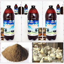 seaweed biological agent used for organic feed additive